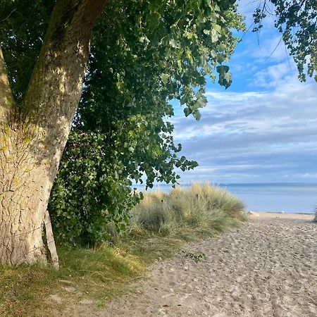 Feriendorf Suedstrand Haus 34 Pelzerhaken Esterno foto