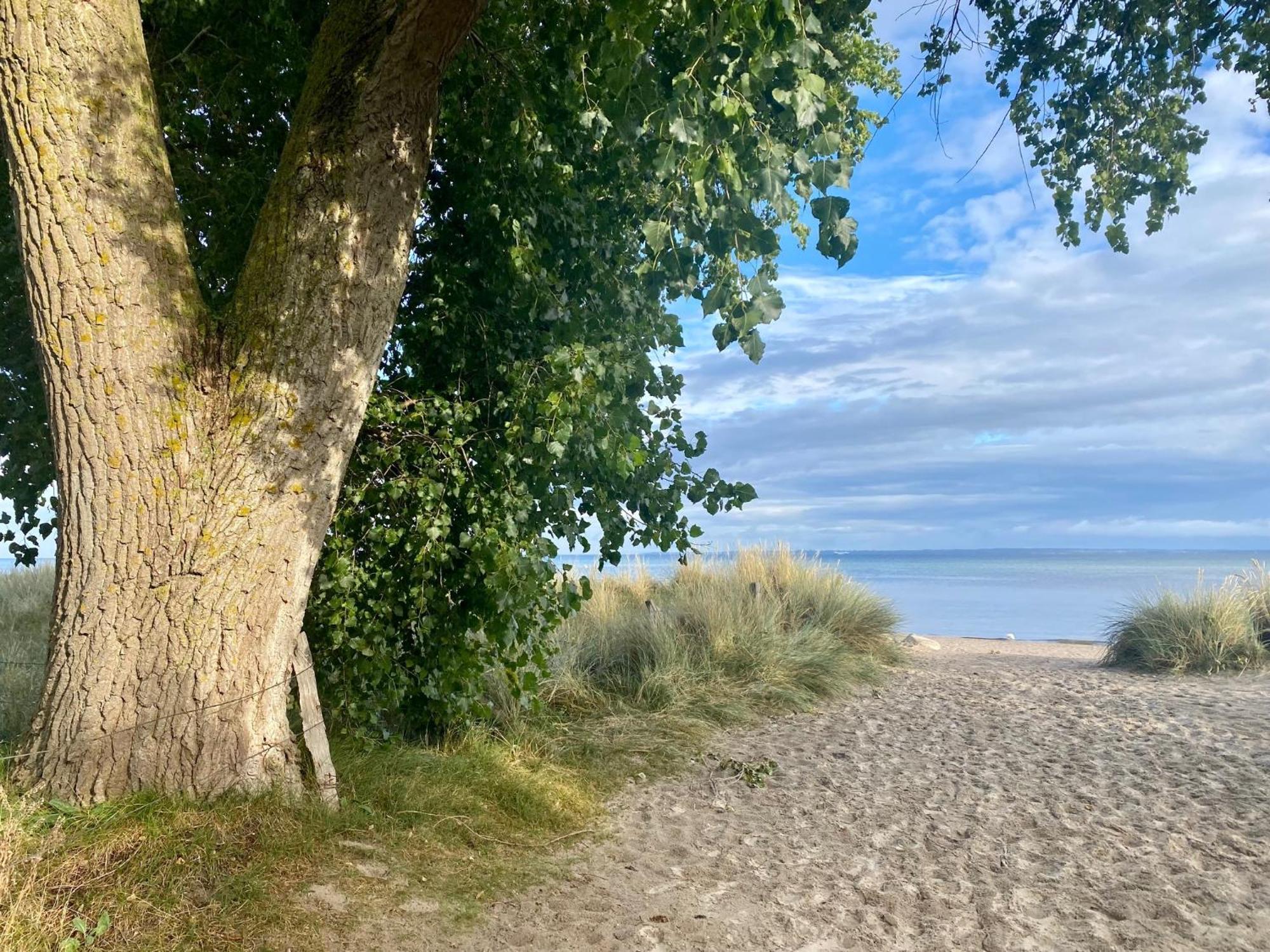 Feriendorf Suedstrand Haus 34 Pelzerhaken Esterno foto